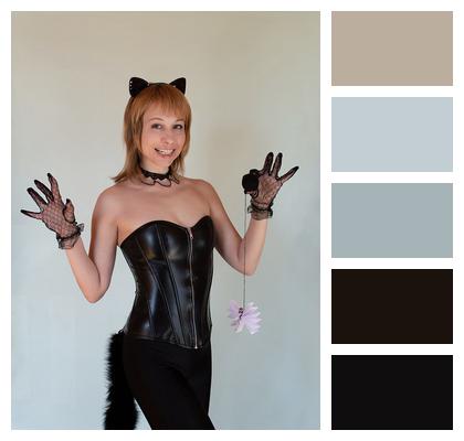 Cat Costume Cosplay Animal Image